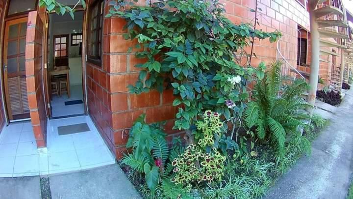 Apt Studio Maranduba Ville 1 Apartment Ubatuba Ngoại thất bức ảnh